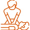 Basic First Aid, CPR & AED
